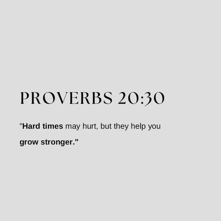Holy Bible (@holy__bible1) on Twitter photo 