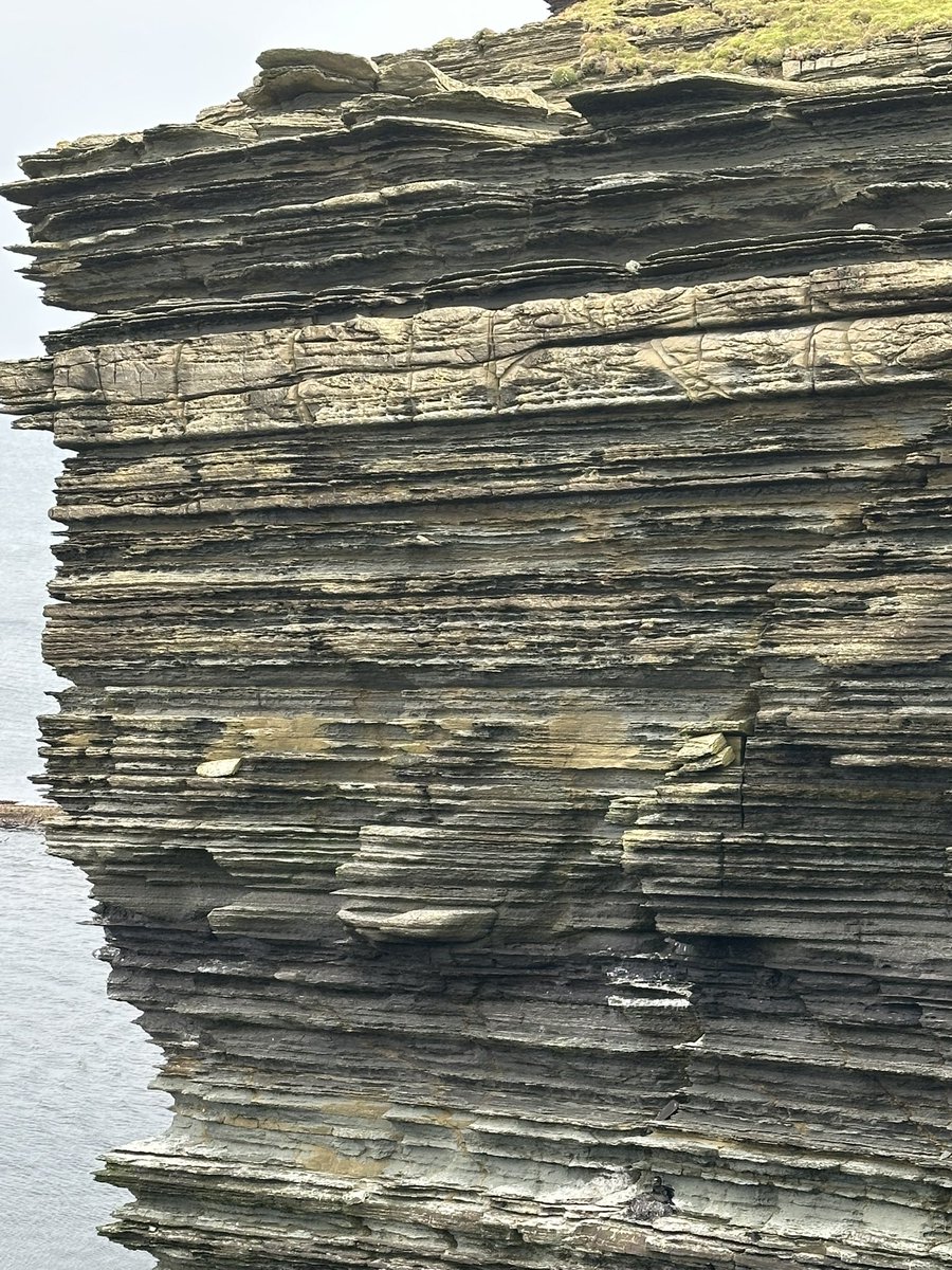 OrkneyUncovered's tweet image. I have always had an interest in the geology of Orkney. We are predominately sedimentary red and yellow sandstone.
450 MYA in the Devonian Era, Orkney was south of the equator under a gigantic freshwater lake know known as Lake Orcadie.