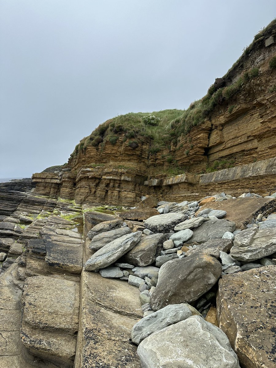 OrkneyUncovered's tweet image. I have always had an interest in the geology of Orkney. We are predominately sedimentary red and yellow sandstone.
450 MYA in the Devonian Era, Orkney was south of the equator under a gigantic freshwater lake know known as Lake Orcadie.