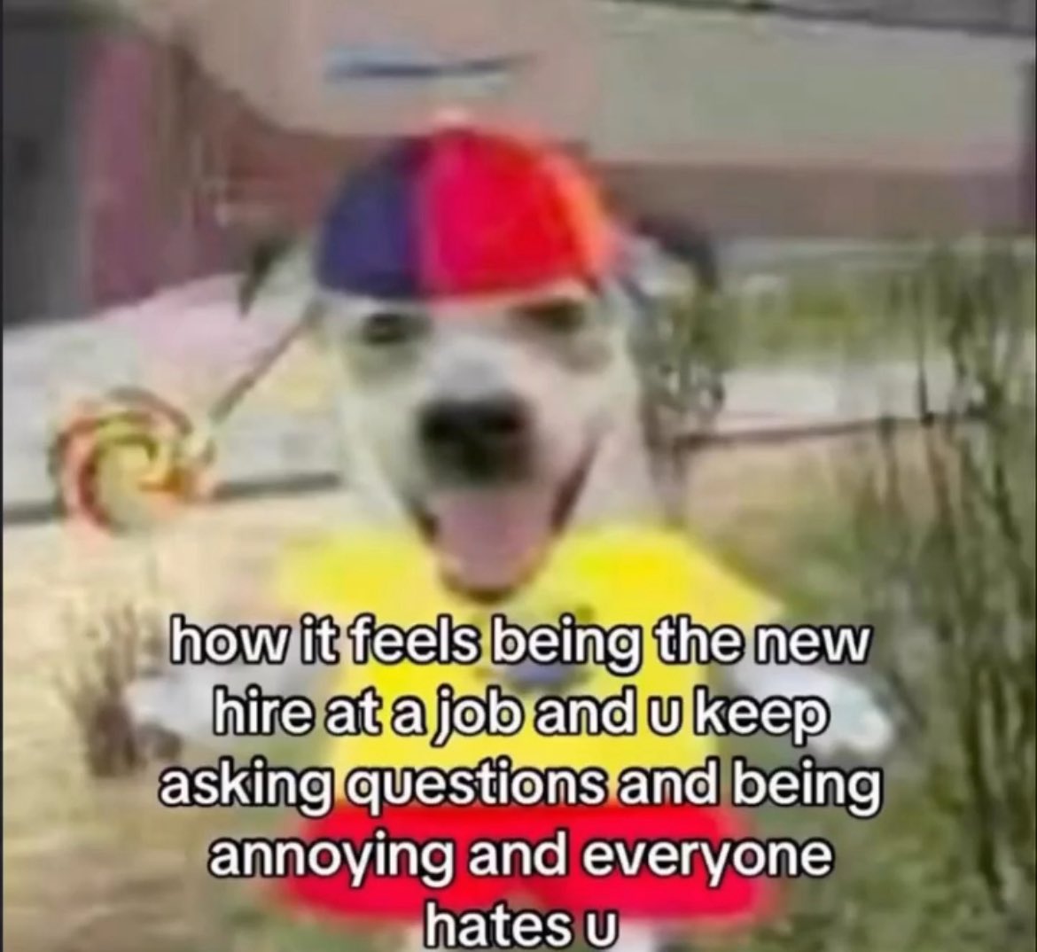 NorwoodDefeat's tweet image. 