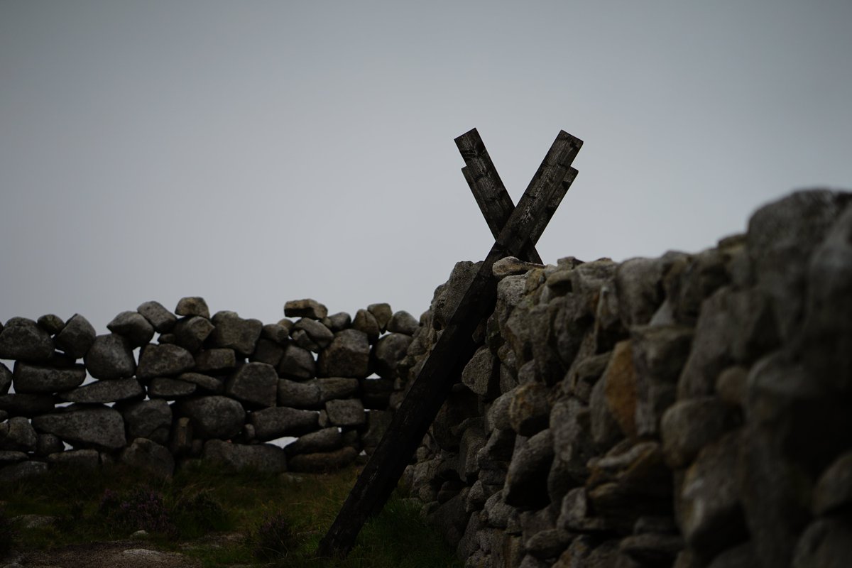 Kevin Doherty tweet media