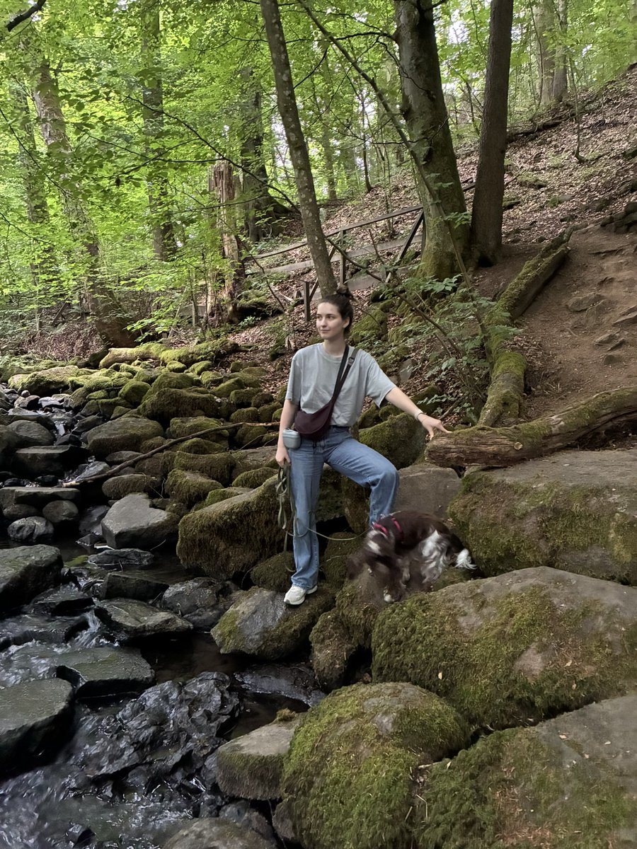 mathis_aa's tweet image. Ходили сегодня в хайк на 4км вдоль горного ручья
Деви как обычно неугомонная, поэтому все фото с ней такие