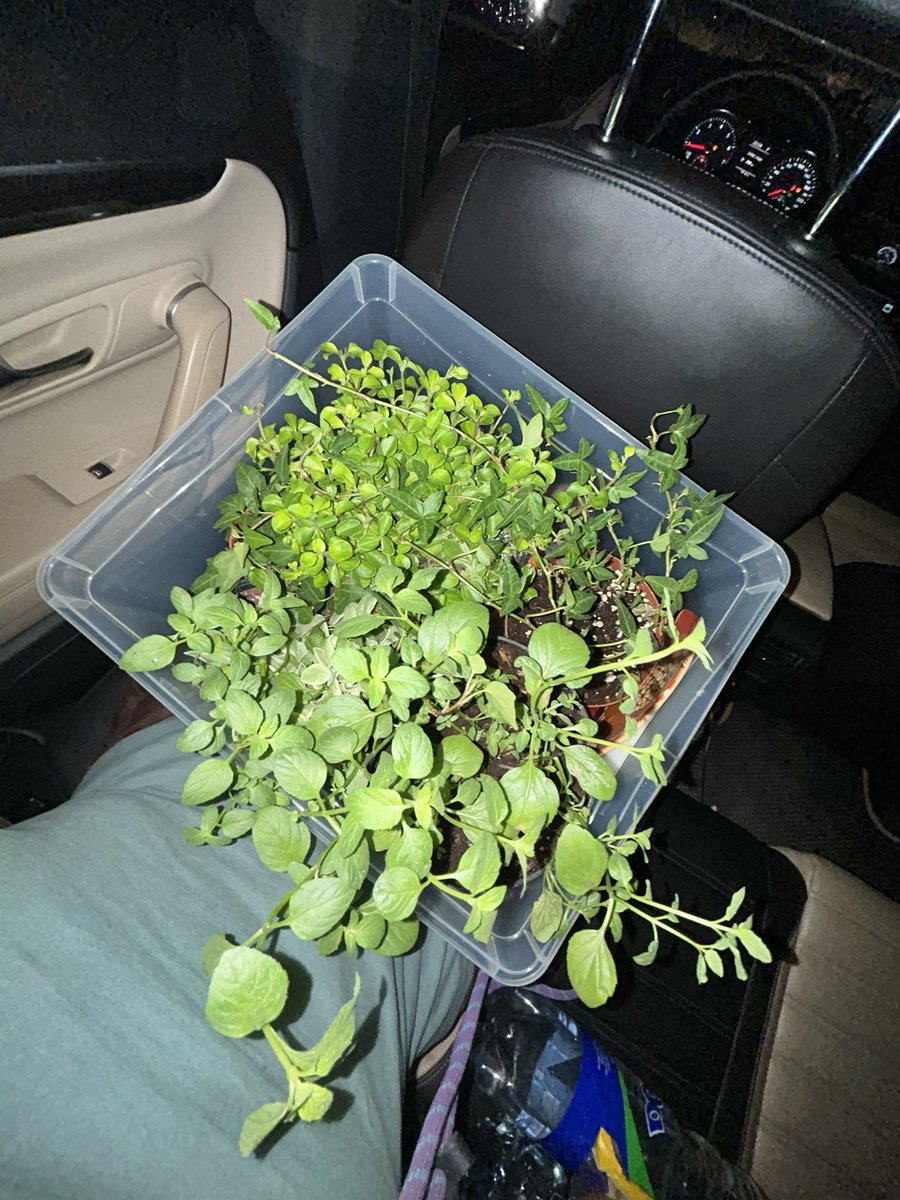 диана, если что tweet media