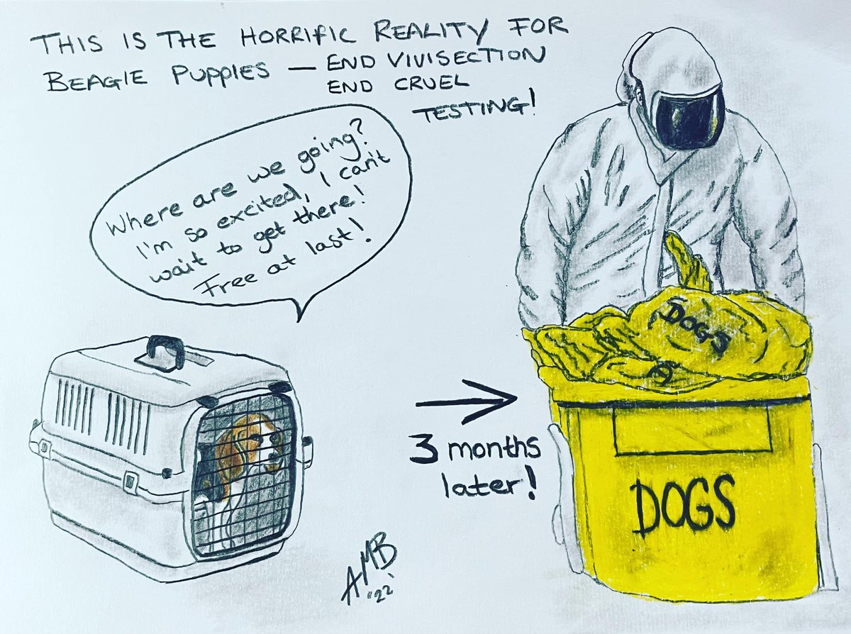 shazstratford64's tweet image. First they break their little hearts, then they break their little bodies !! Then they mutilate the little bodies and throw them in the bin.....