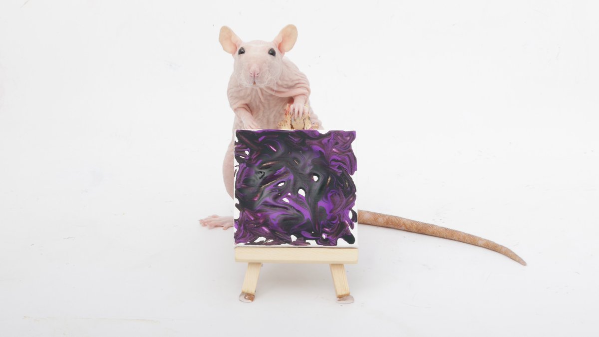 Rattrixs's tweet image. This week’s paw paintings by my sweet rats - Tofu, Jellybean, and all their buddies did an awesome job!
.
If you would like to commission your own rat paw painting, you can do so here: etsy.com/shop/RatPainti…
