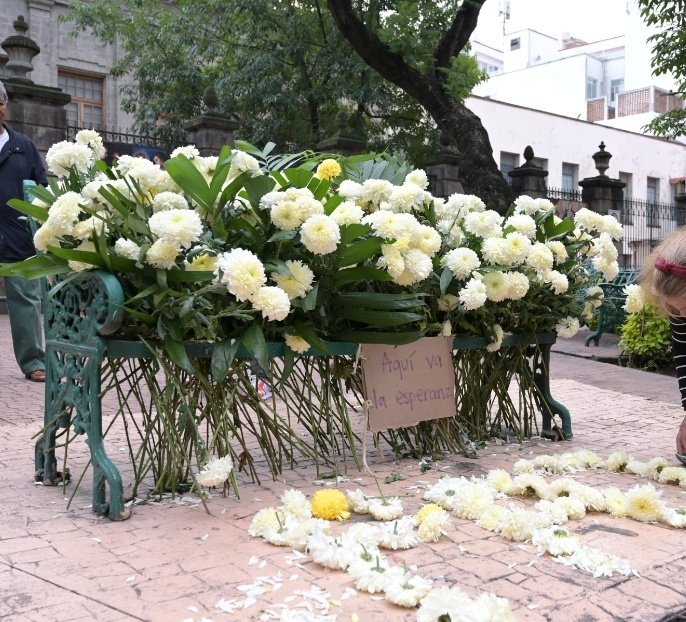 Qué bello lo que hicieron los vecinos  de la Cuauhtémoc, se les ocurrió llenar de flores la banca donde hasta hace unos días tenía las estatuas de dos asesinøs.
Este es el México que queremos, no el que destruye, divide y odia, esa es la diferencia 👏🏻