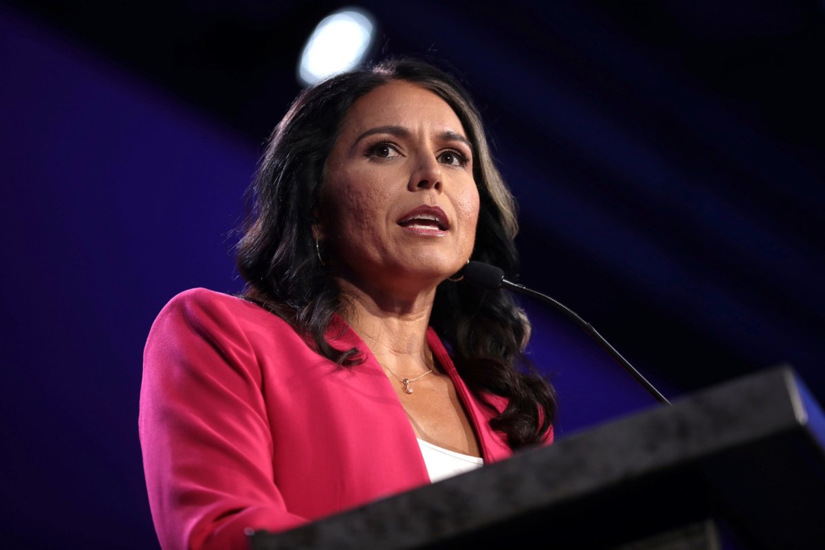 Tulsi Gabbard lays out how deep state waged ‘years-long coup’ against Trump

"Over a hundred documents that we released on Friday really detail and provide evidence of how this treasonous conspiracy was directed by President Obama," Gabbard said.
