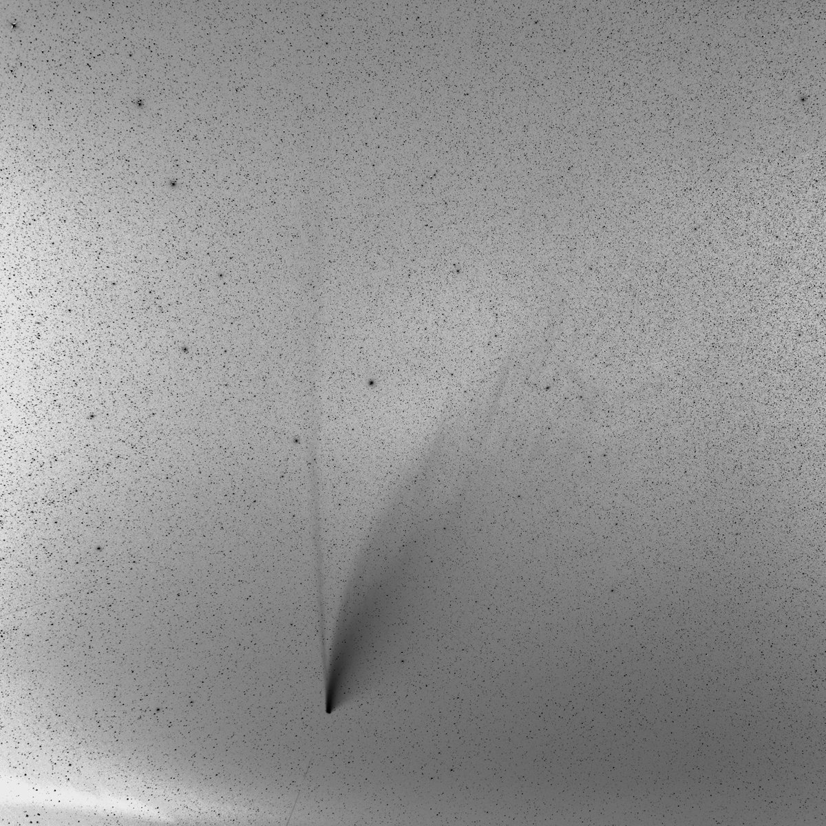 JAtanackov's tweet image. On this day 5 years ago comet C/2020 F8 (NEOWISE) graced our evening skies. #4 among 150+ comets I've seen since 1994. Past its brightest, but now higher in a darker skies & with the most impressive tails of any northern hemisphere comet since Hale-Bopp in 1997 and Hyakutake (!!)…