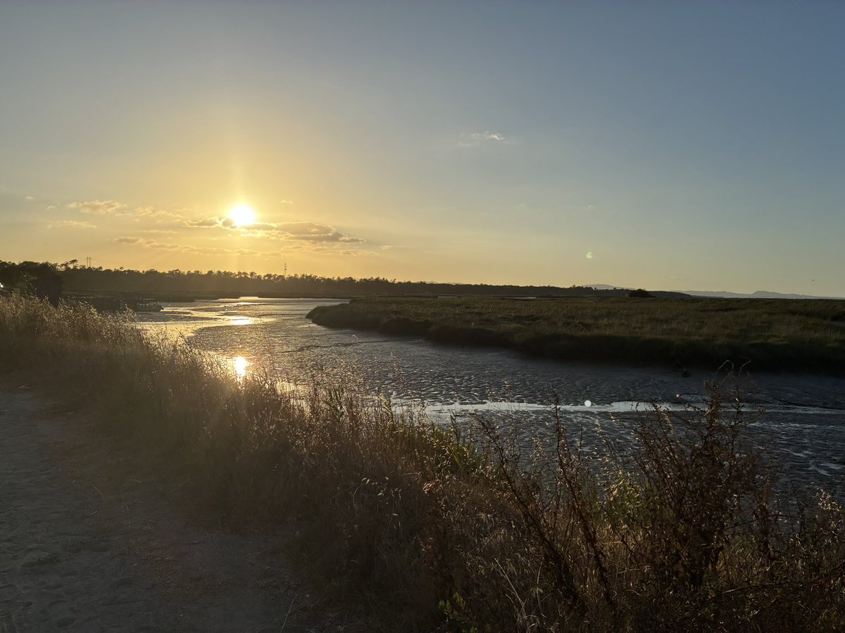 Patrici26804595's tweet image. Sunset over the rice fields of the #Sado Estuary, brimming with life and warmth.
Coming to the end of our time with our Portuguese family for this Summer.
Grateful for many joyful memories made together with vibrant Teens and vulnerable Elders.
#Cycles of Life 🌱❤️
#Nature