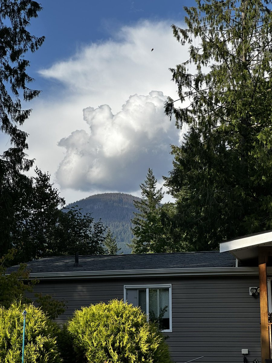 paul_siddaway's tweet image. Cloud looks like a cat on its back to me