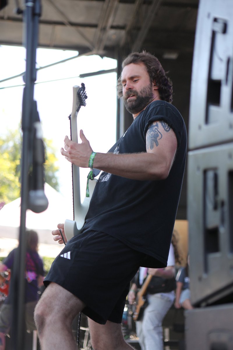 Sound &amp; Fury - Pest Control