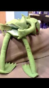 kira🌺 tweet media