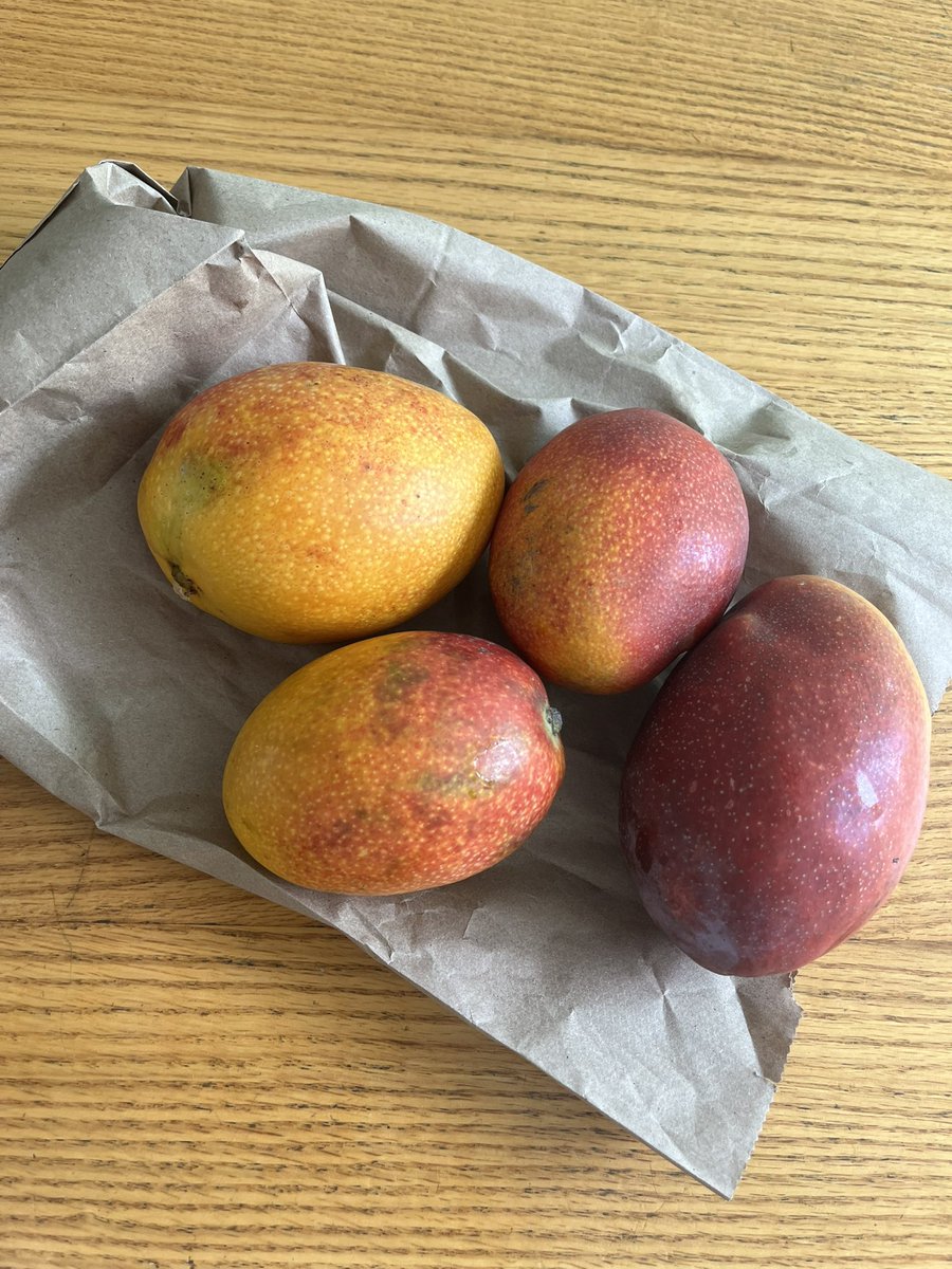 #日曜日  #ロスカボス 
左➡️callo de hacha ( コルテス海産ホタテ貝柱)の🌮　生のチレセラーノの辛味が効いてます。 😋
右➡️ 1kg =30ペソ(240円ほど) で買った🥭。甘〜い香りがします。　😋