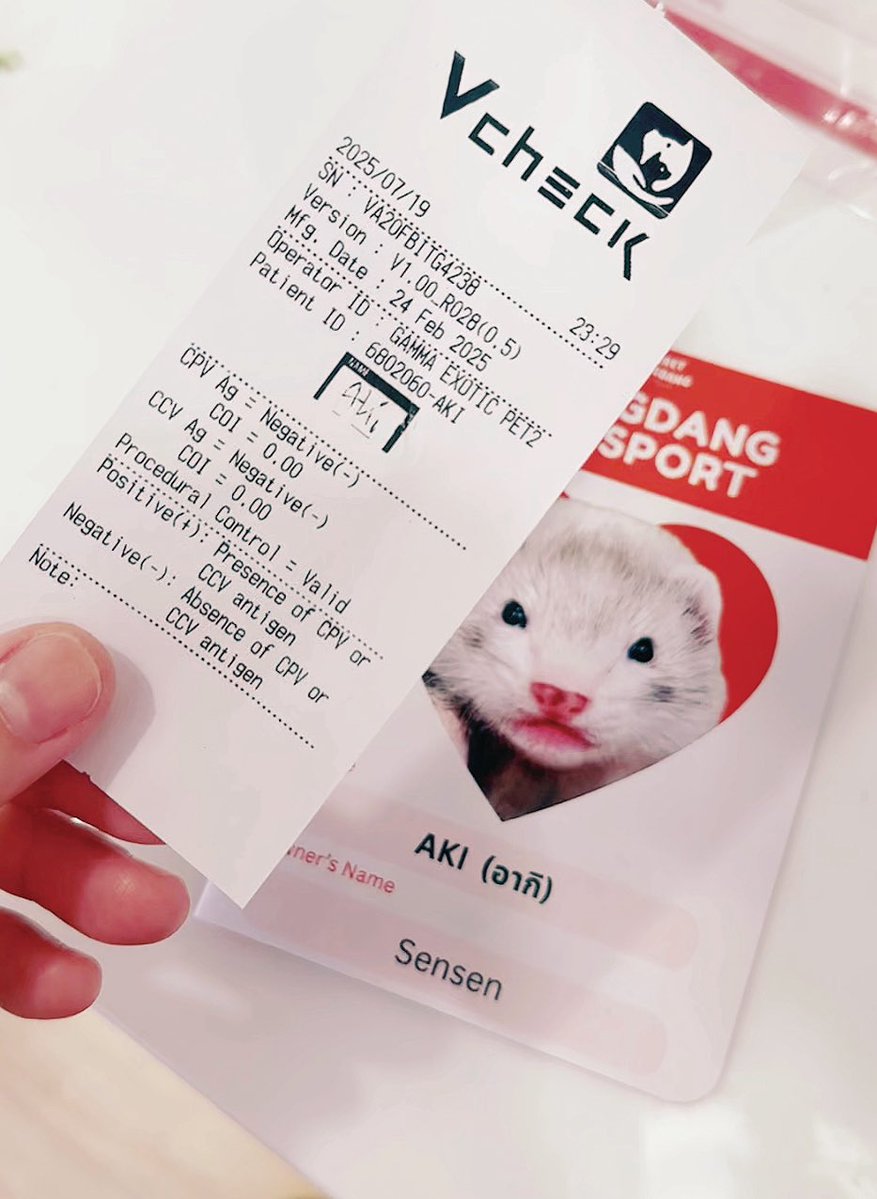 ferretdongdang's tweet image. ไปอยู่กับมี๊ไม่ดื้อไม่ซนนะลูก🥹
