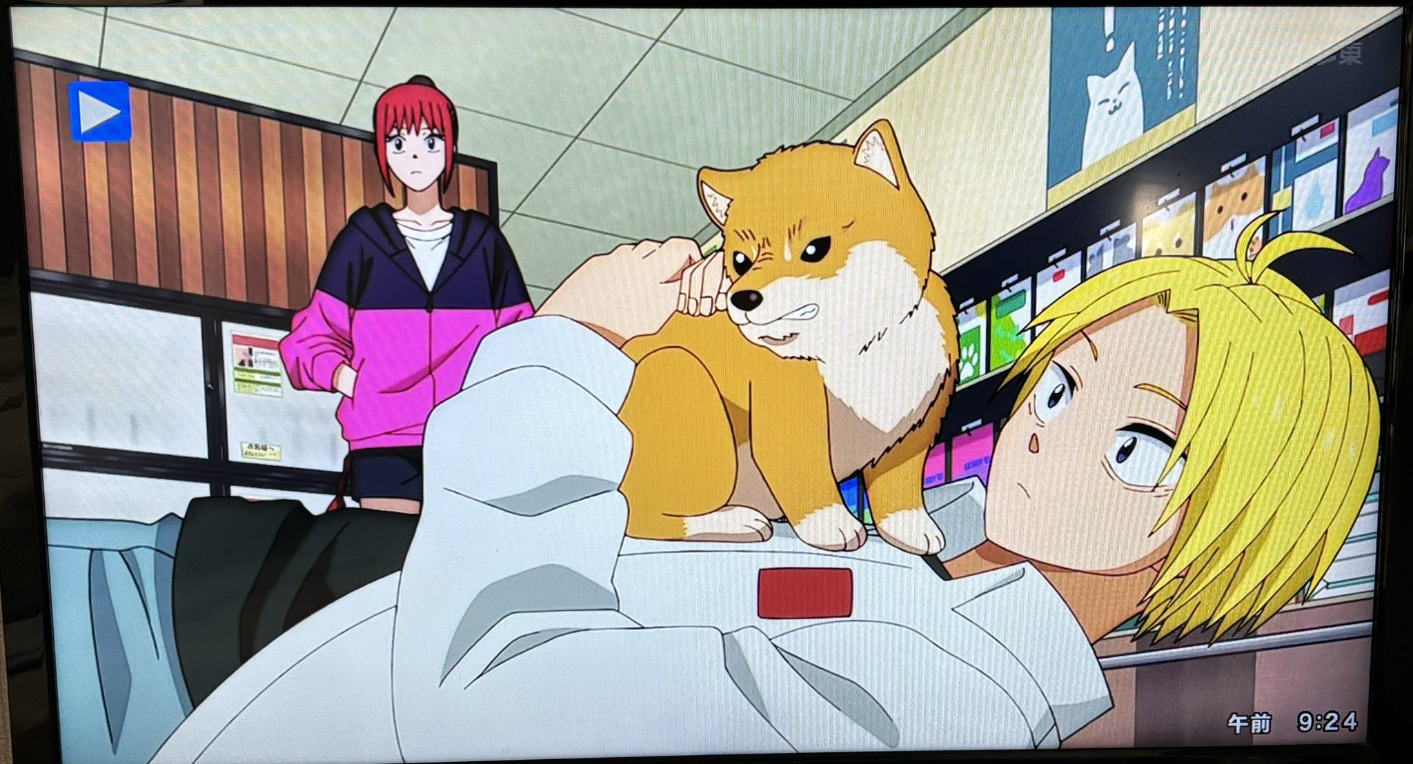 CHIEN様♡ありがとうございます♡ しば太郎 on X: 