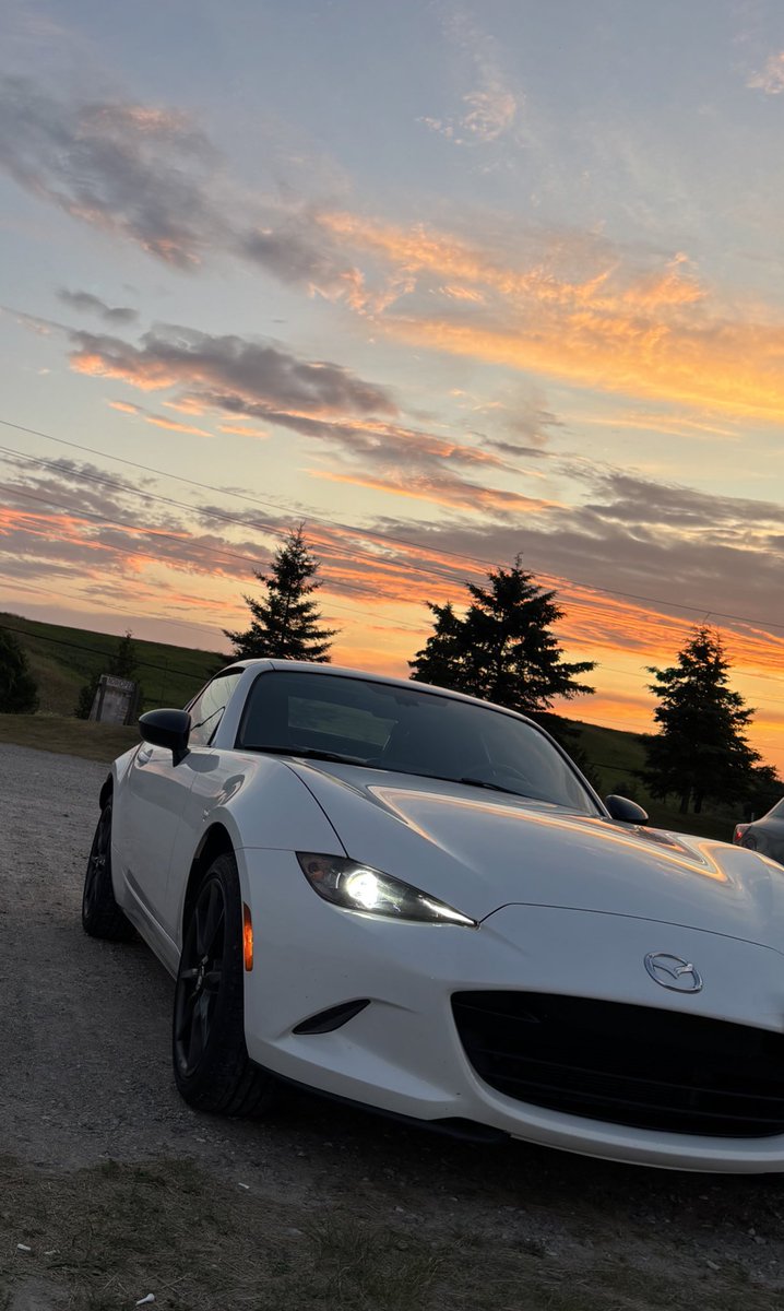 Mr____308's tweet image. Fuck proximity sensors my car needs MINORITY sensors