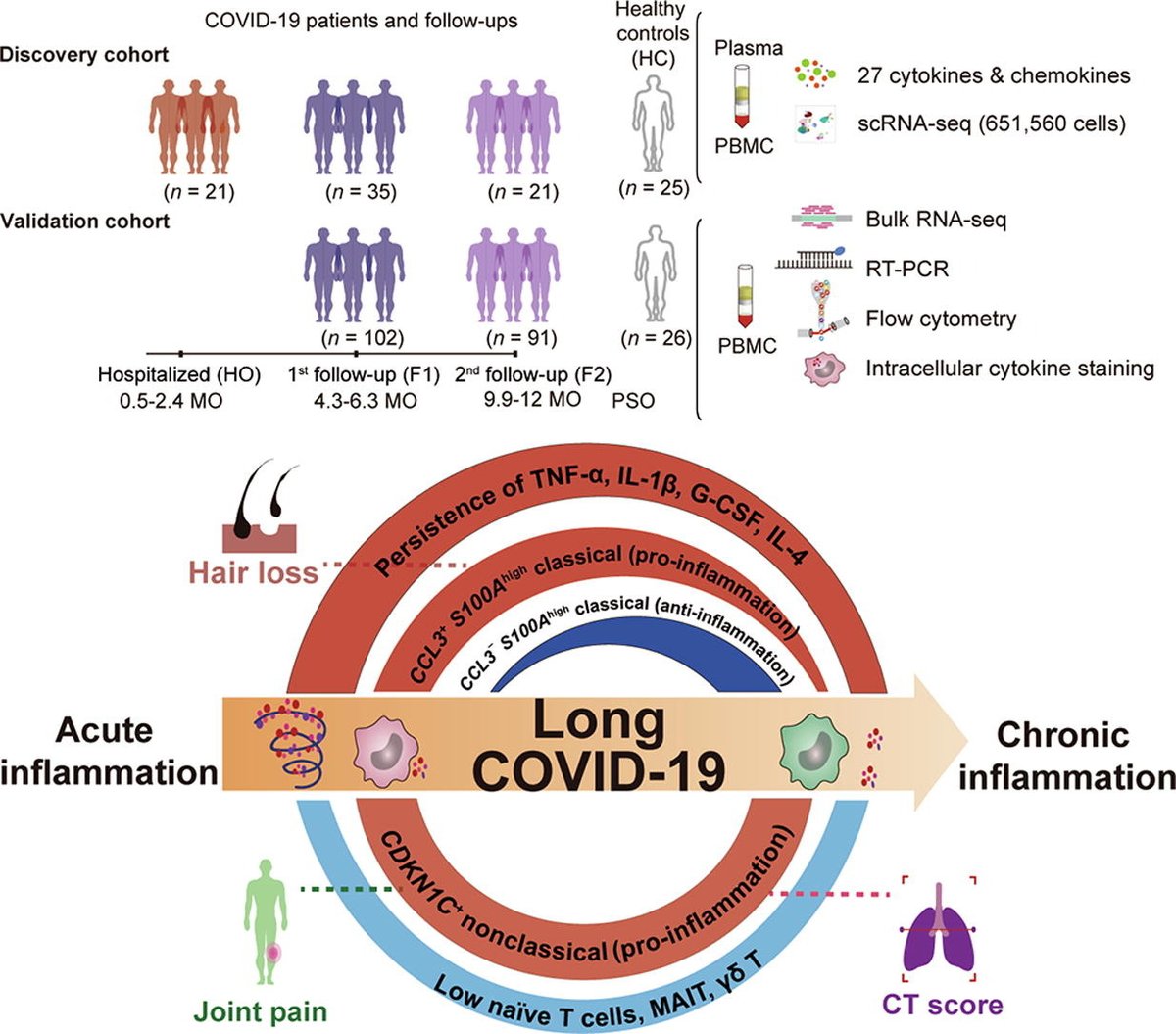Sci_Bull's tweet image. Longitudinal landscape of immune reconstitution after acute SARS-CoV-2 infection at single-cell resolution doi.org/10.1016/j.scib…
@isciverse @SciencNews #HealthTech #LifeSciences