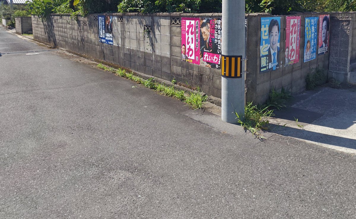 NWt01NX2bcLWmhh's tweet image. 本日比例はれいわ貼り替え行脚。得票率最下位県肩身が狭い野良ボラです。これからも増えるであろうオレンジに抗わねば…。横ポス補充までバカポスセットで行こうかな。自民、玉木ん、緊縮、オレンジ、左のネトウヨなど四面楚歌上等やな。ドンマイ!