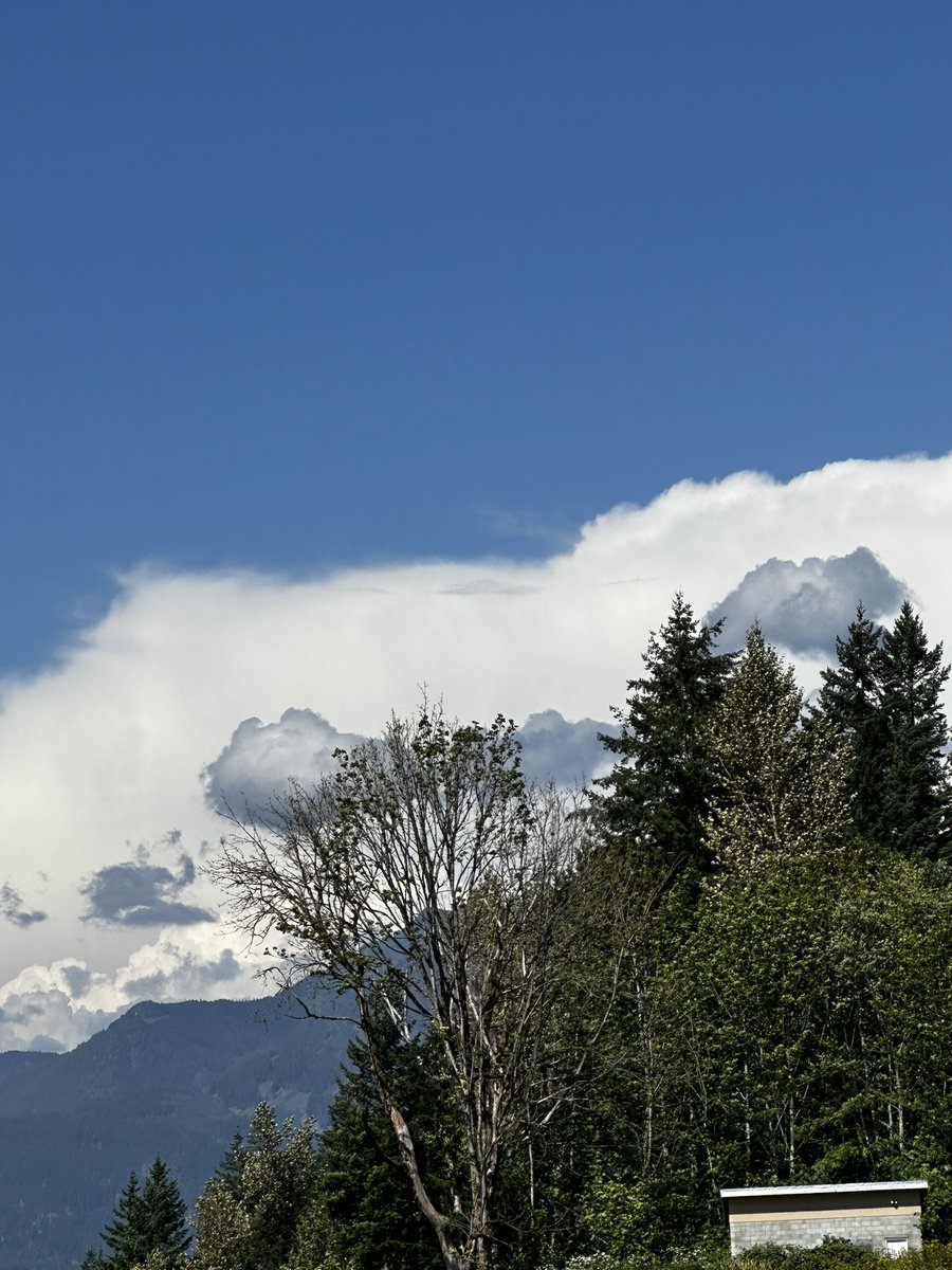 paul_siddaway's tweet image. Beautiful day for clouds
Love the ‘ink blot ‘ clouds - gorgeous contrasts
