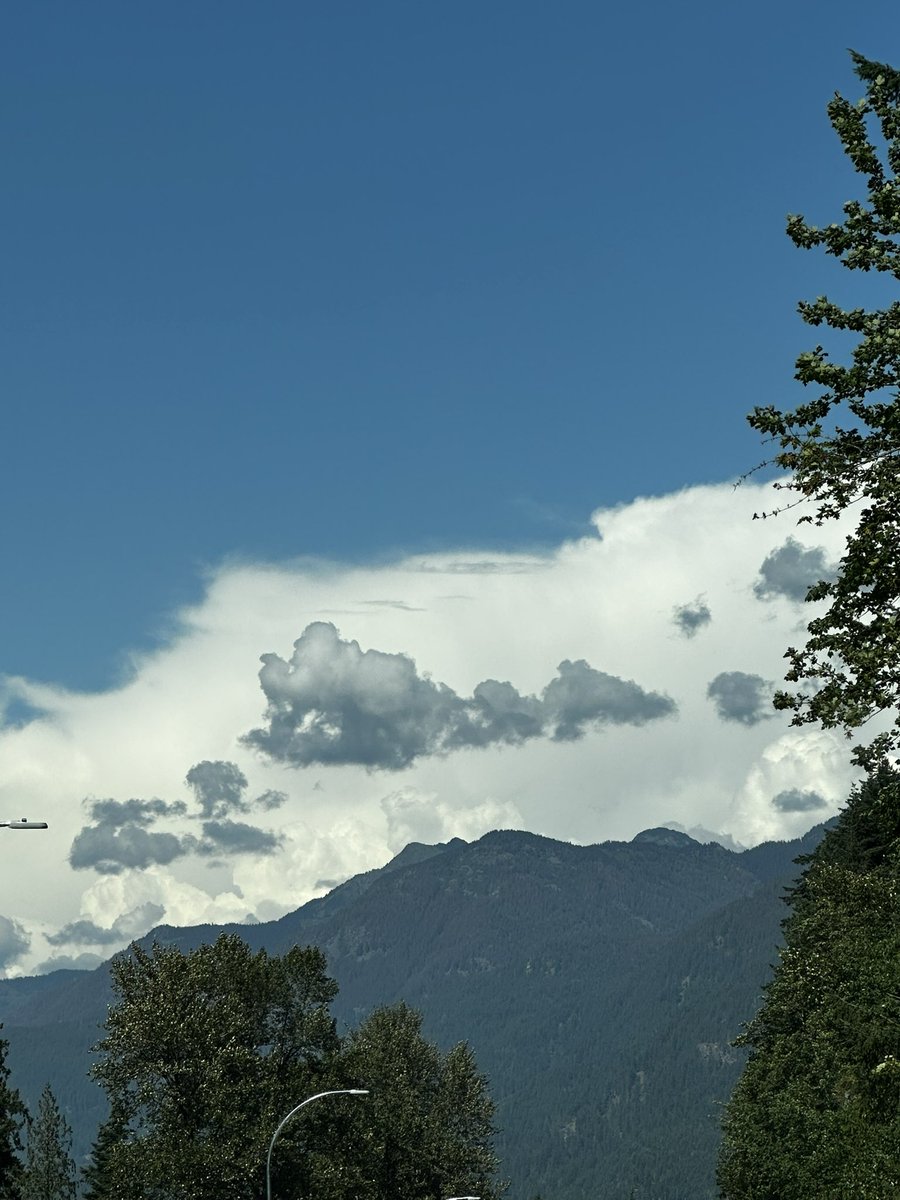 paul_siddaway's tweet image. Beautiful day for clouds
Love the ‘ink blot ‘ clouds - gorgeous contrasts