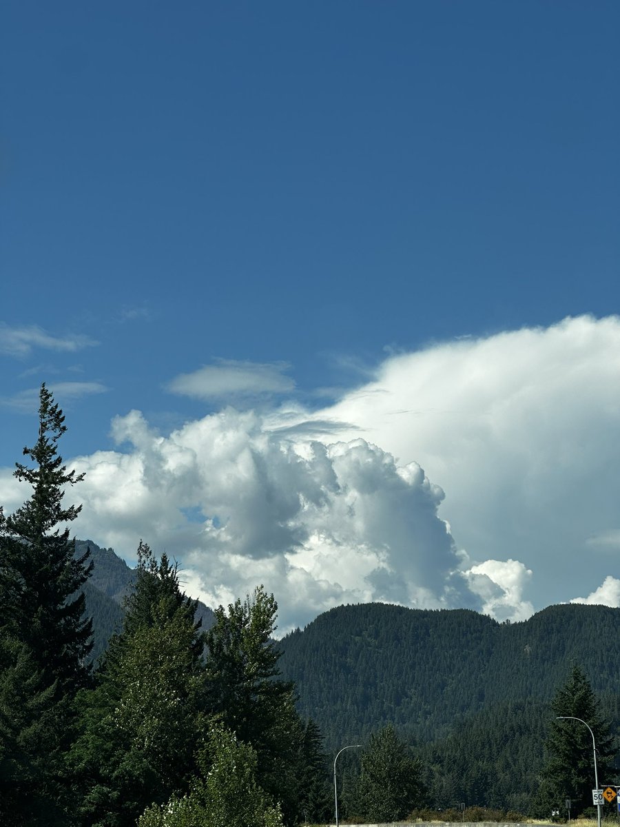 paul_siddaway's tweet image. Beautiful day for clouds
Love the ‘ink blot ‘ clouds - gorgeous contrasts