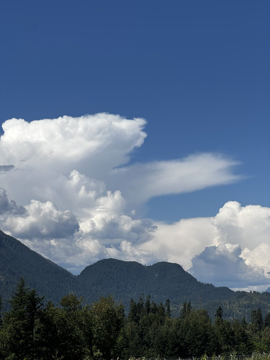 paul_siddaway's tweet image. Beautiful day for clouds
Love the ‘ink blot ‘ clouds - gorgeous contrasts