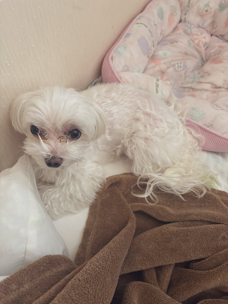 ☆sAyaka☆ (@sAyaka_0526) / Posts / X