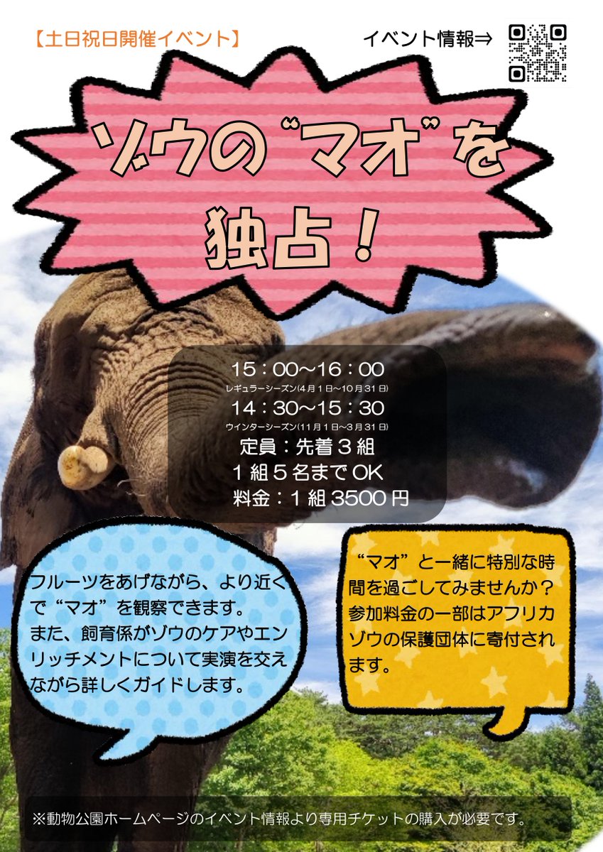 moriokazoo's tweet image. ゾウの”マオ”を独占イベントの8月の申し込みホームを作成しました。
飼育係がゾウのケアやエンリッチメントについて実演を交えながら詳しくガイドします。
申し込み開始時期とずれてしまい申し訳ありません。8月のお盆時期は毎日開催!是非ご参加ください。
お申し込みは
zoomo.co.jp/wp-content/upl…