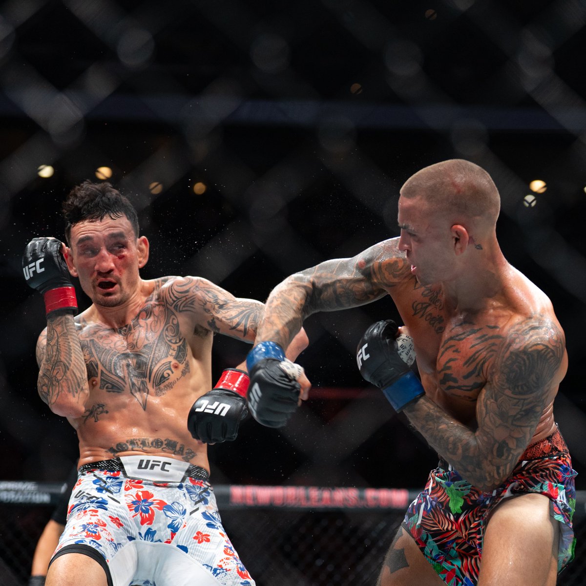 UFC_Asia's tweet image. Legacies forever connected ♾
@BlessedMMA 🤝 @DustinPoirier | #UFC318 ️