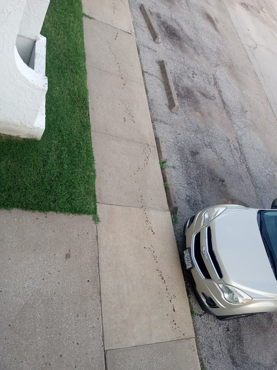 Saveydro's tweet image. Somebody was shot in the parking lot right outside my apartment this morning. The blood trail runs over 70 feet