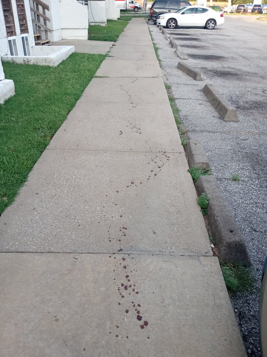 Saveydro's tweet image. Somebody was shot in the parking lot right outside my apartment this morning. The blood trail runs over 70 feet