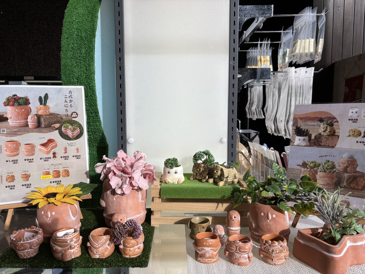 haniwasky's tweet image. ミュージアムショップのスタッフのマイ朝顔が開花し始めたようです。
朝顔には適さないかもですが、ショップにて埴輪や土偶モチーフのテラコッタポット、ご覧いただけます。
#れきはくガーデニング部