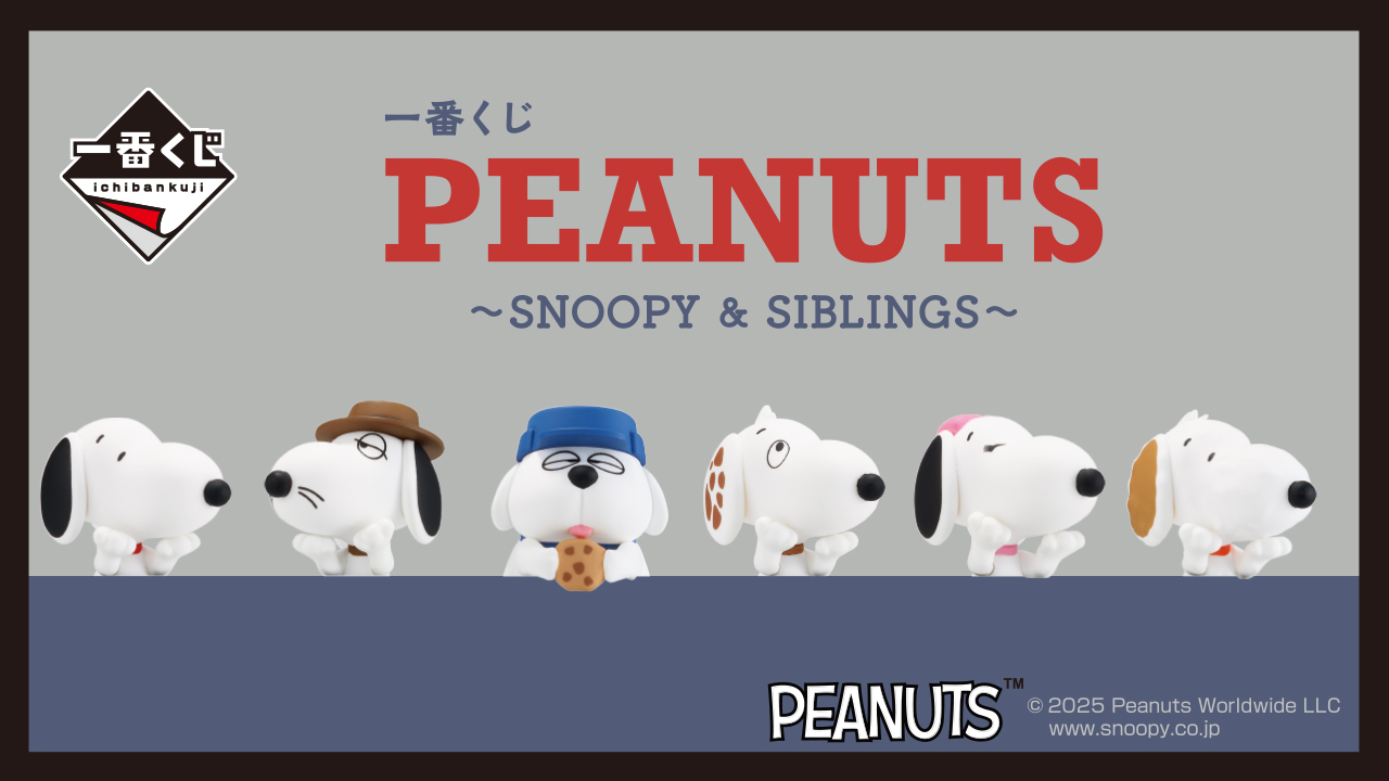 SNOOPY様(15番17番23番25番29番32番33番35番40番)9個 SNOOPY（5） SUNDAY SPECIAL PEANUTS SERIES いつでもいっしょ