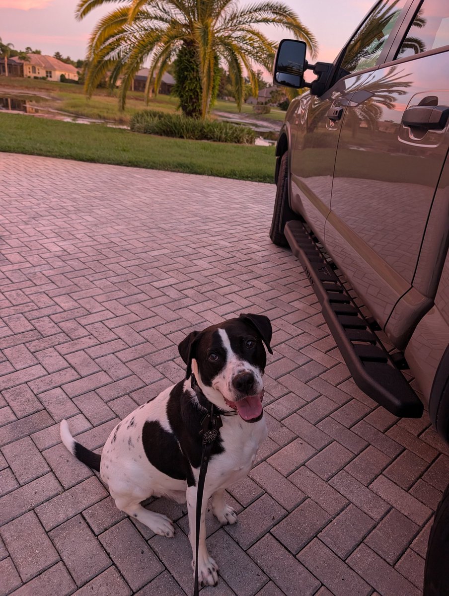 Ok fine, you can come with me to do my night rounds.