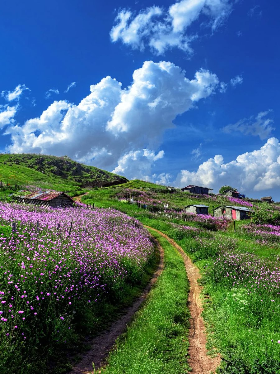 Mnik45Nik's tweet image. عاشقانهتر دوستت خواهم داشت
چه بمیرم
چه بمانم
(تالش زیبا)
📷 koulivand