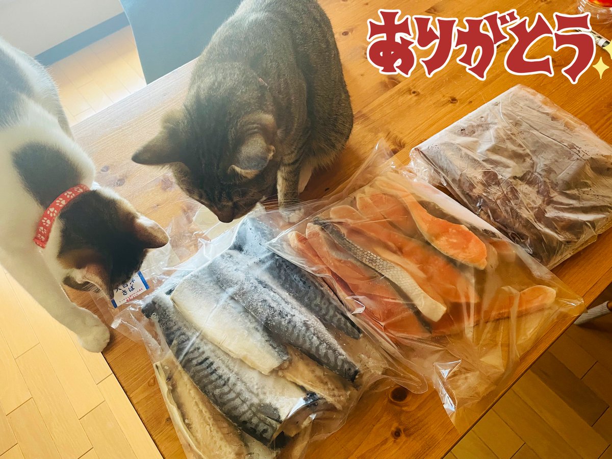 はるまき Amazon | エアサスペンション 2PCS フロント左/右エア