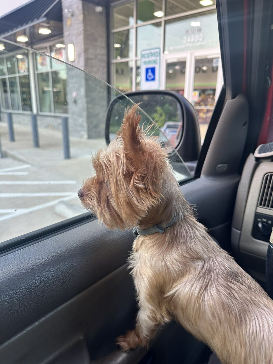 Riding with the dawg