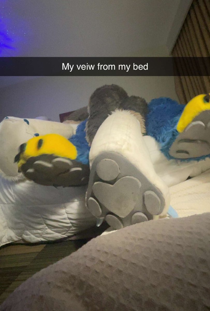 x - Rowan K9Dragon tweet media