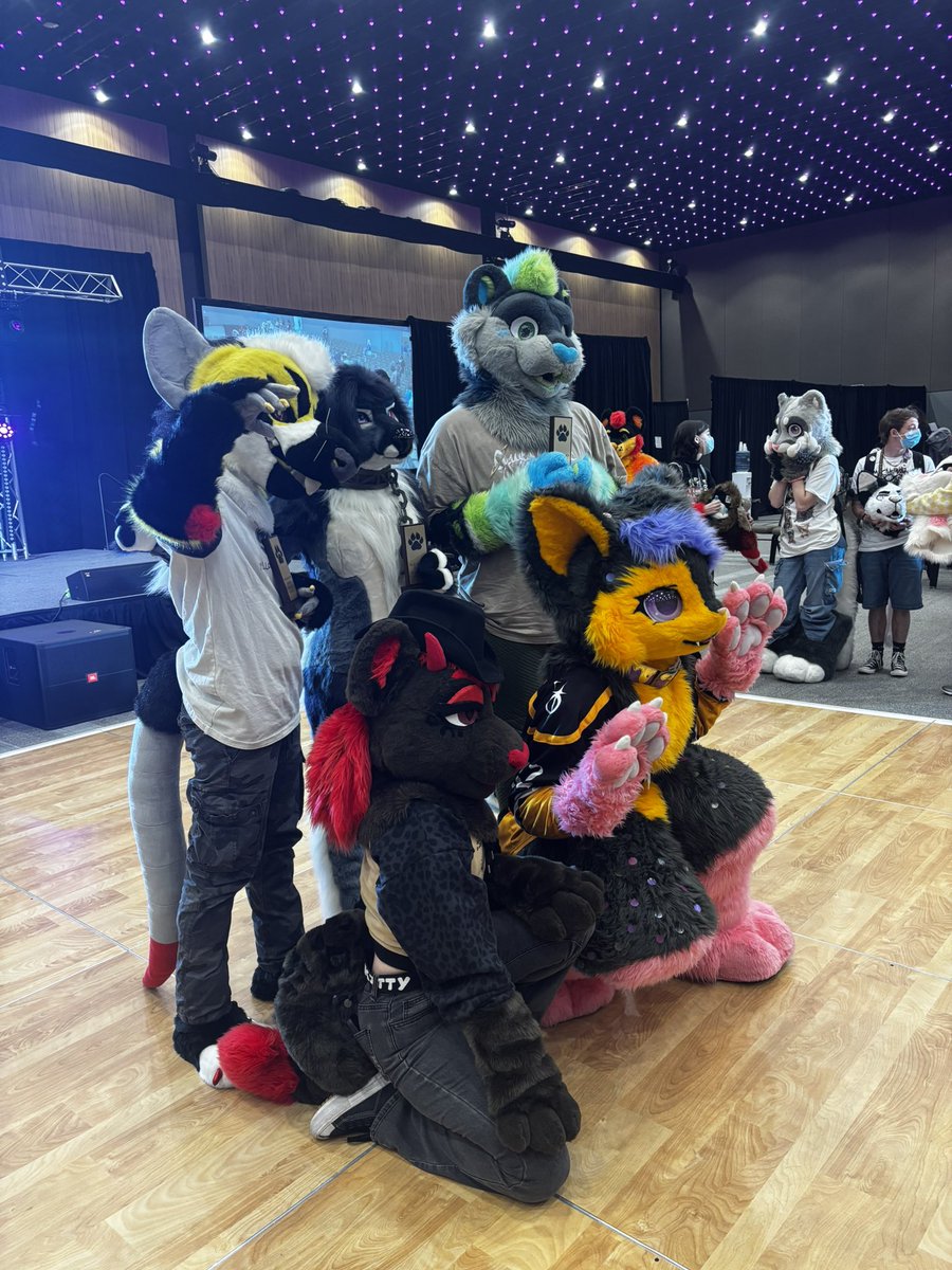 x - Rowan K9Dragon tweet media