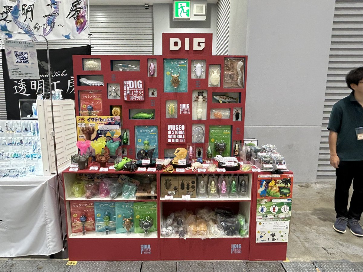 DIG_museum's tweet image. \\ 🎉2日目、開催しました‼ //
🔍 #博物ふぇすてぃばる!11
『ソフ美 イマドキの土器~ #火焔型土器 ~』
『 #カイコ の幼虫』
を会場にて発売中❗❗
東京ビッグサイト南1ホール
DIGブース 【G44】にてお待ちしております!
#博物ふぇす
#博物ふぇすてぃばる虫部
#博物ふぇす考古部2025