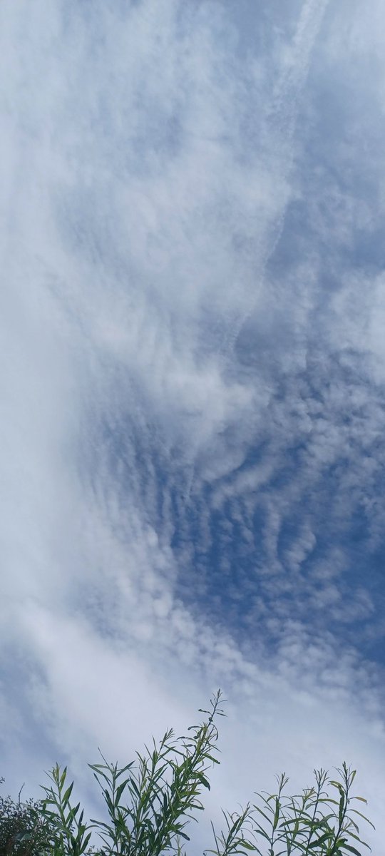 I hear a loud, low pitch, humming sound. It's so loud that I can feel a vibration on the back of my neck!