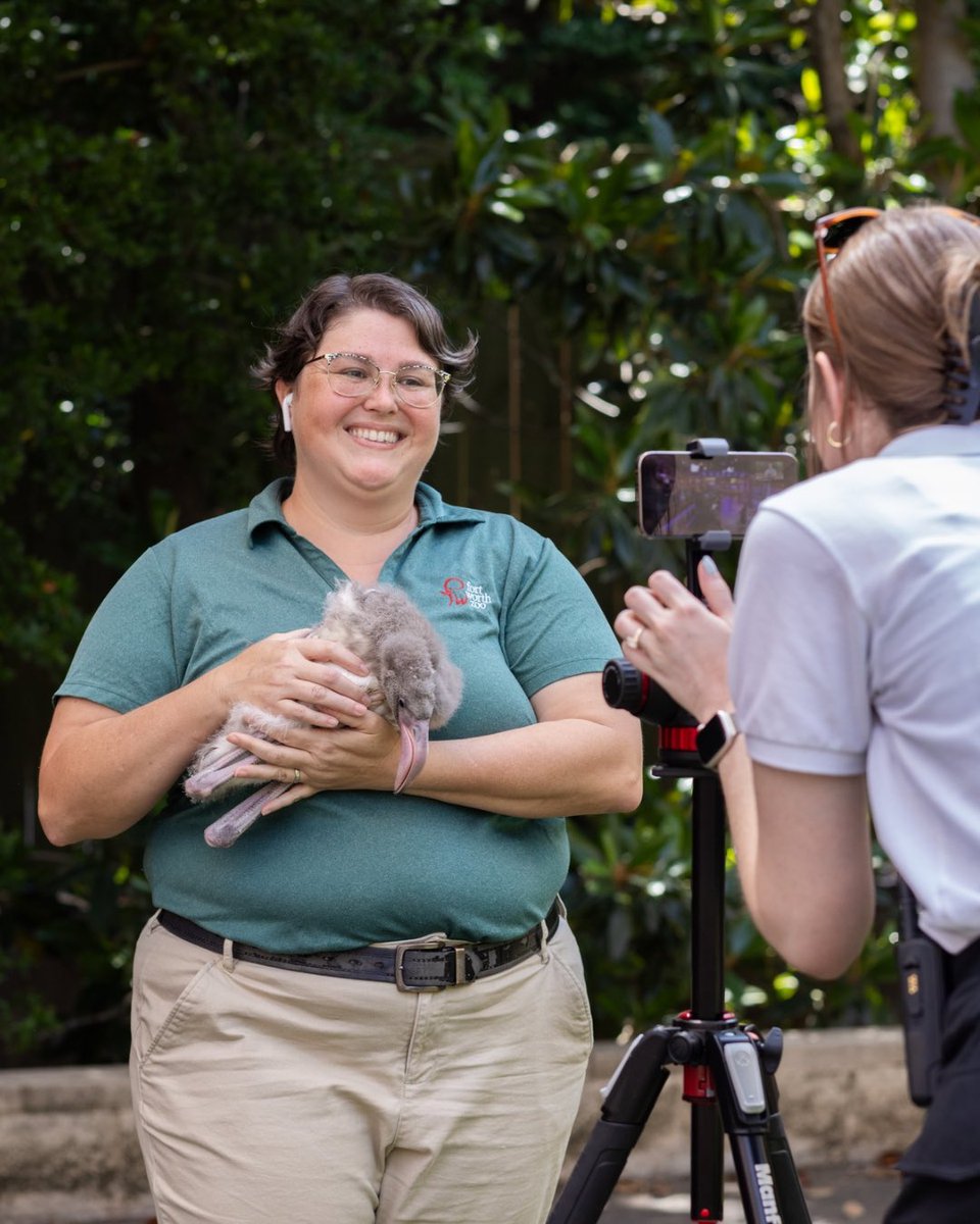 FortWorthZoo's tweet image. Today kicks off one of our favorite weeks of the year – National Zookeeper Week! Our keepers amaze us every day with their hard work, dedication and care. This week we want them to know just how much we appreciate all they do!
Keep an eye on our TikTok channel (@fortworthzoo)…