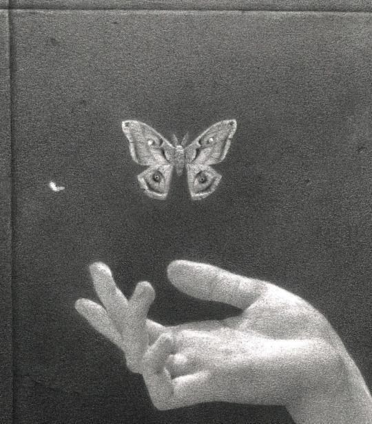 SymphonyLetters's tweet image. I threw a butterfly
to the wind
It knew how to carry
it to you.
