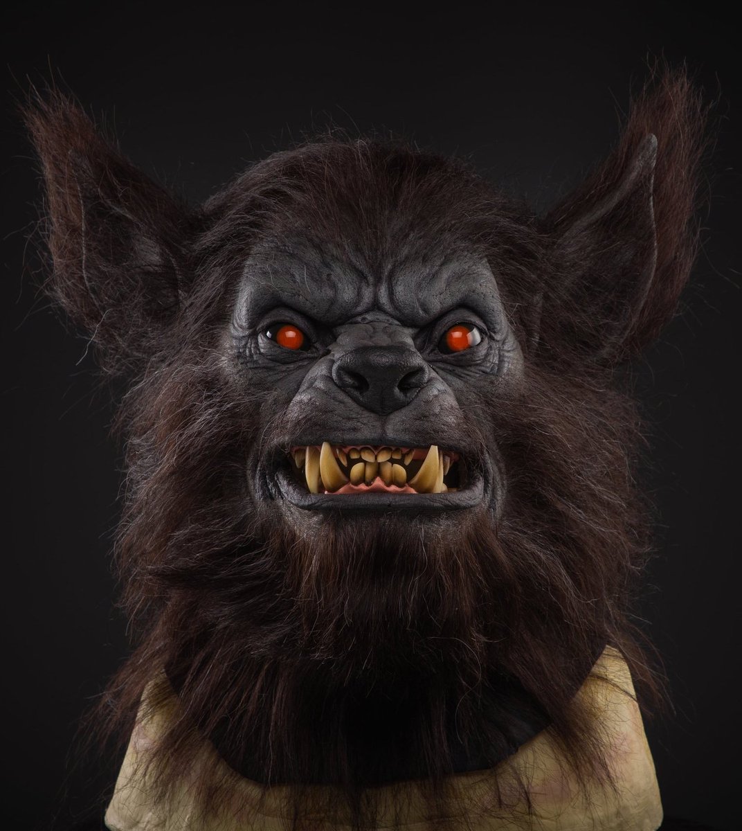 StarWarsMeg1's tweet image. Brutus (Skeleton Crew)