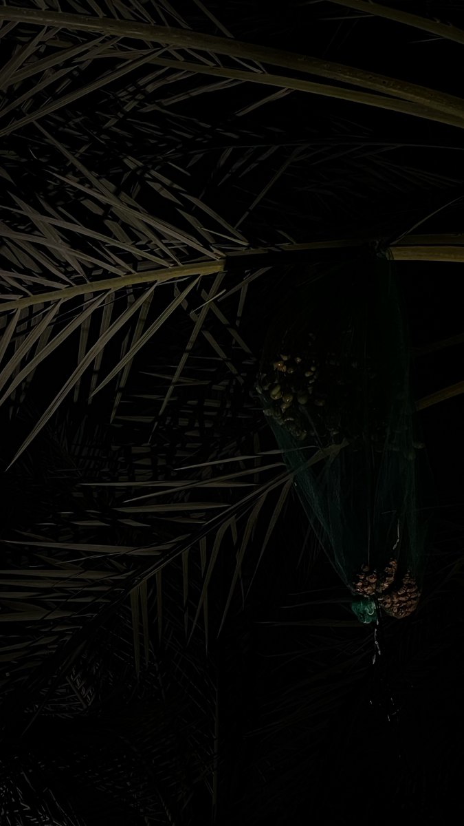 WΛ (@8fllr) on Twitter photo 