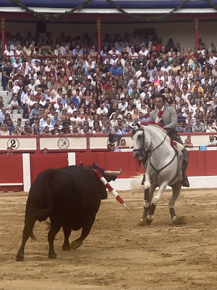 Hoy en Santander tuvimos mala suerte con los toros y perdimos la puerta grande por el rejón