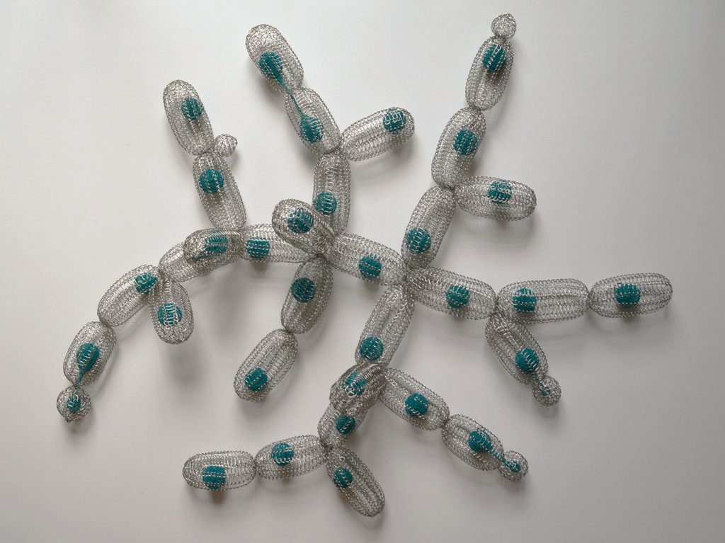 JodieArmand tweet media