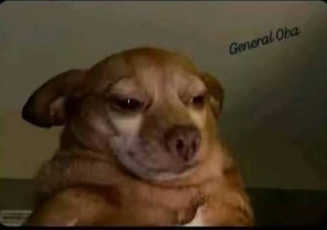 _harrisontee_'s tweet image. Female asherkine no dey? 😪