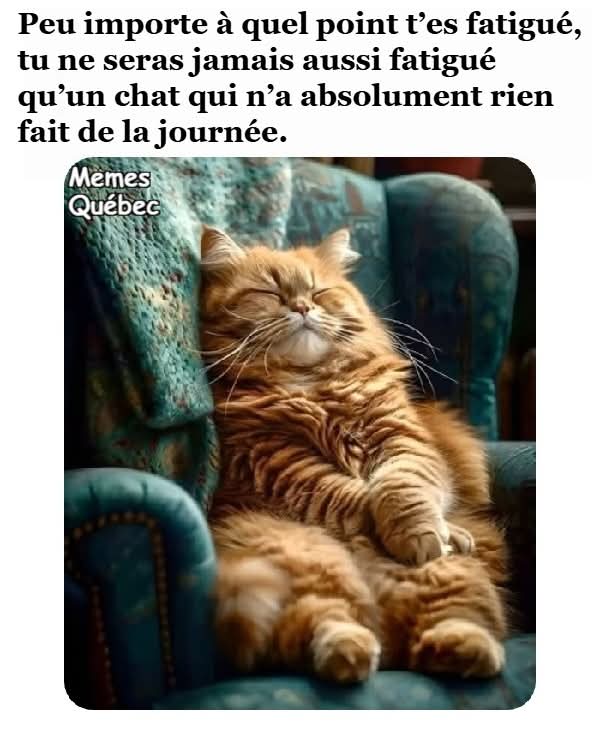 vivige (@vivige1976) on Twitter photo 