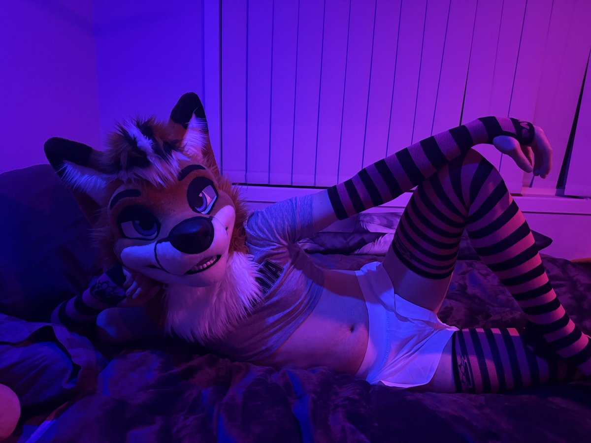 Charmis_fox's tweet image. Monday madness is always better with a fox 😉 

📷: @ranger_shep